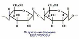 Углеводы Углеводы