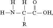 Белки Белки