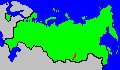 Байкальский осетр Байкальский осетр