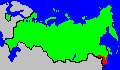 Амурский лесной кот Амурский лесной кот