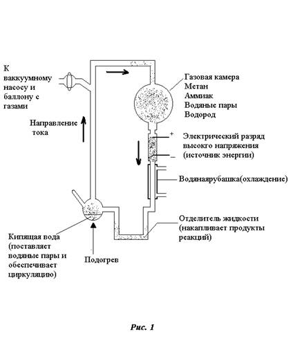 Теория возникновения жизни Теория возникновения жизни