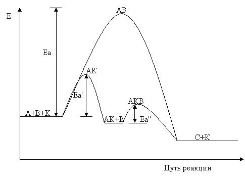 Химическая кинетика и равновесие в гомогенных системах Химическая кинетика и равновесие в гомогенных системах