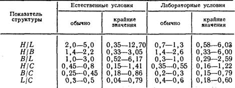 Морфология колонии у гидроида obelia loveni Морфология колонии у гидроида obelia loveni
