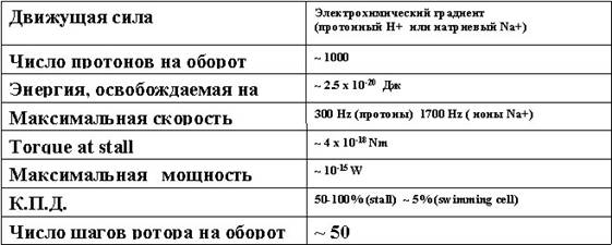 Молекулярные машины Молекулярные машины