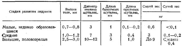 Морфофункциональный анализ организации моноподиальных колоний гидроидов с терминально расположенными зооидами Морфофункциональный анализ организации моноподиальных колоний гидроидов с терминально расположенными зооидами
