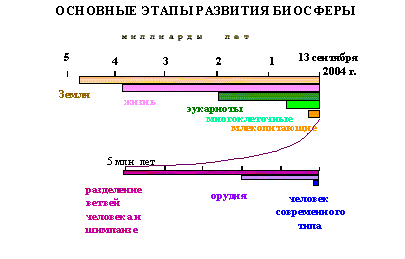 Основные этапы развития биосферы на Земле Основные этапы развития биосферы на Земле