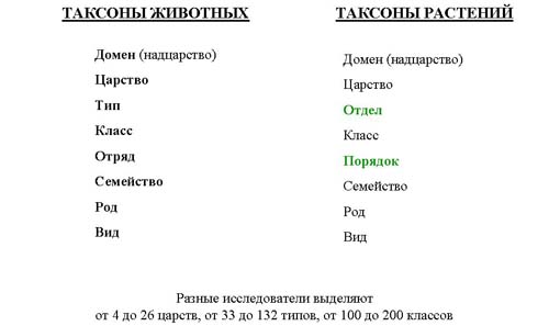 Основные этапы развития биосферы на Земле Основные этапы развития биосферы на Земле