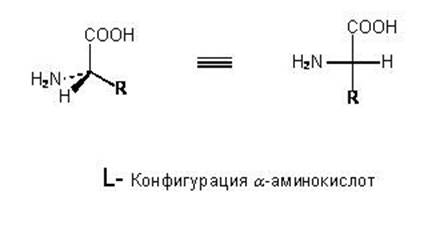 Реферат: Коровье бешенство